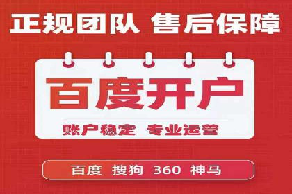 成功SEM推广代运营案例展示